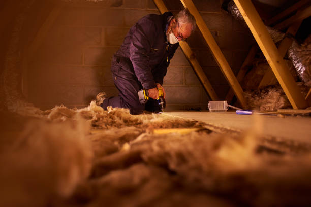 Best Insulation Maintenance and Repair in Napervle, IL